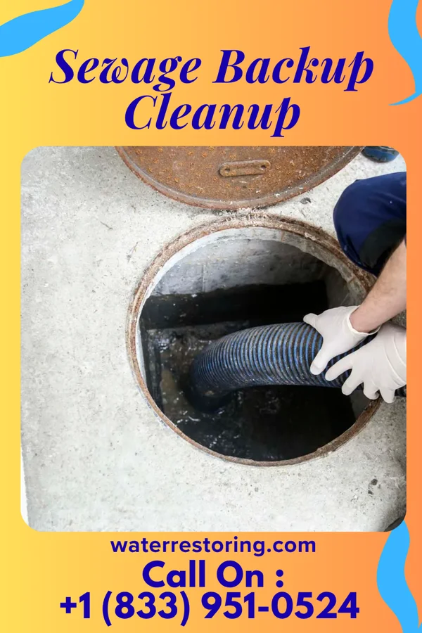 Sewage Backup Cleanup in Premont, TX